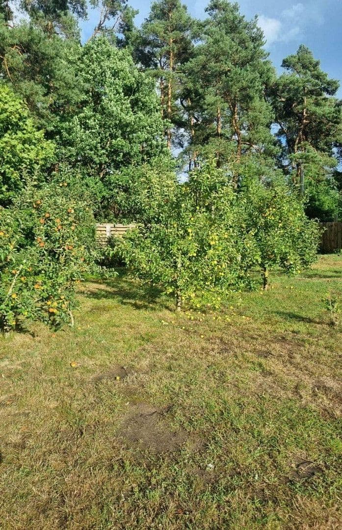 Prodej domu 146 m², pozemek 20.510 m², Stolpe auf Usedom, Mecklenburg-Vorpommern Prodej domu 146 m², pozemek 20.510 m², Stolpe auf Usedom, Mecklenburg-Vorpommern