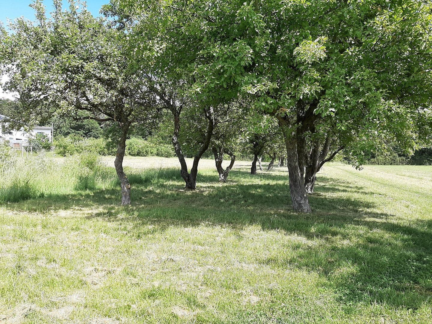 Prodej pozemku 329 m², Fasanenstraße 14, Kist, Bavorsko Prodej pozemku 329 m², Fasanenstraße 14, Kist, Bavorsko