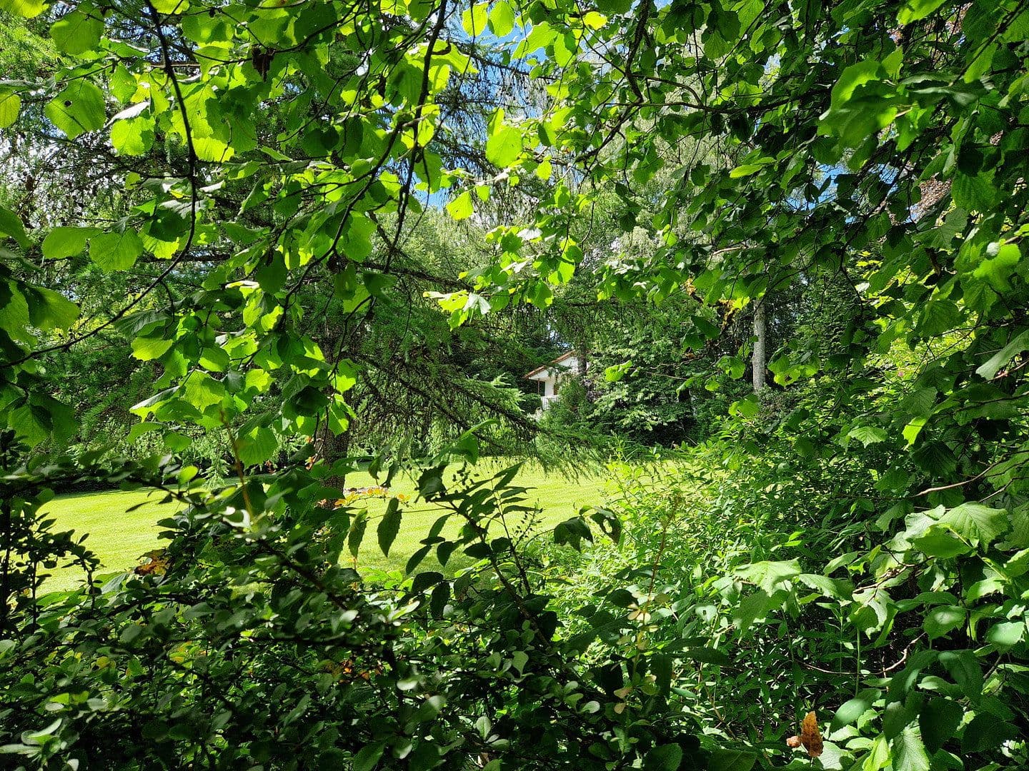 Prodej domu 253 m², pozemek 8.685 m², Achtelsbach, Porýní-Falc Prodej domu 253 m², pozemek 8.685 m², Achtelsbach, Porýní-Falc