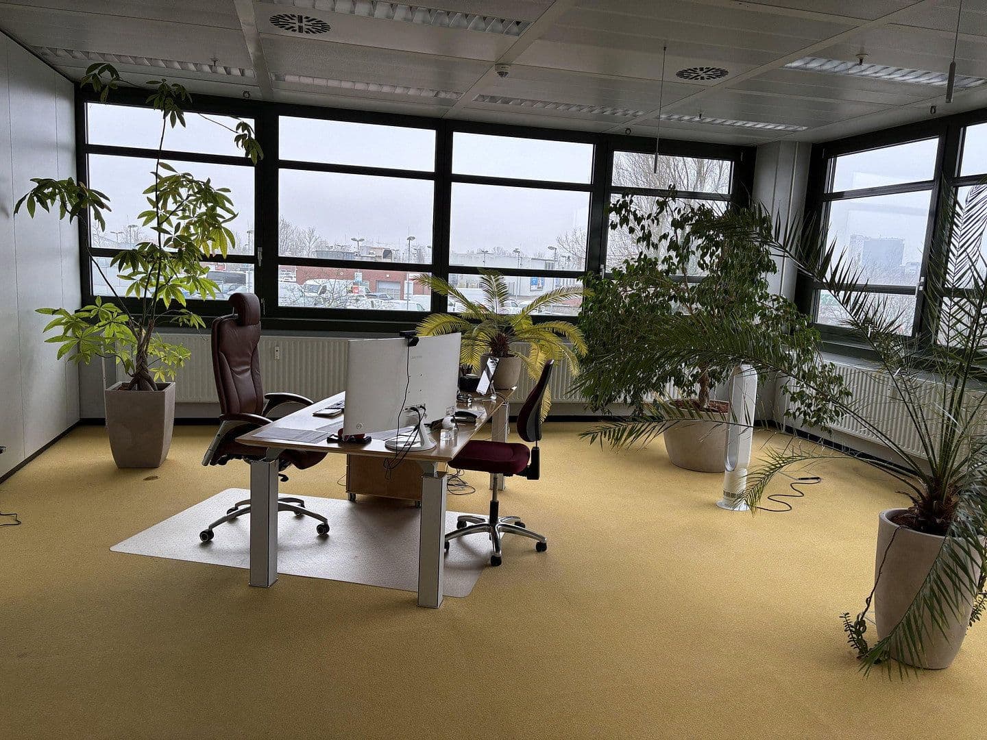 Pronájem kanceláře 510 m², Zitadellenweg 28a, , Berlin, Berlin, Berlín Pronájem kanceláře 510 m², Zitadellenweg 28a, , Berlin, Berlin, Berlín