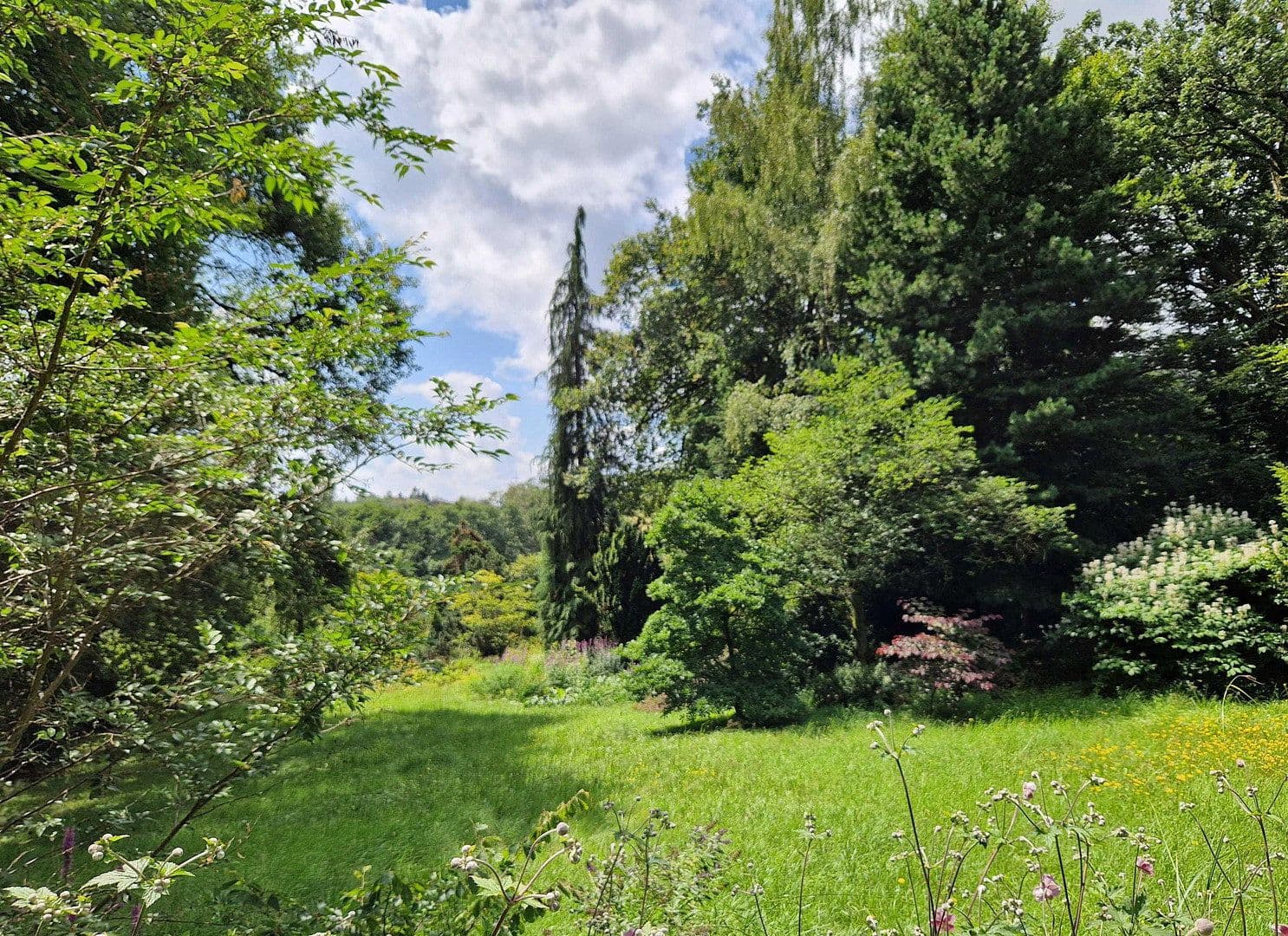 Prodej pozemku 1.890 m², Viehweideweg 18, Hofheim am Taunus, Hessen Prodej pozemku 1.890 m², Viehweideweg 18, Hofheim am Taunus, Hessen