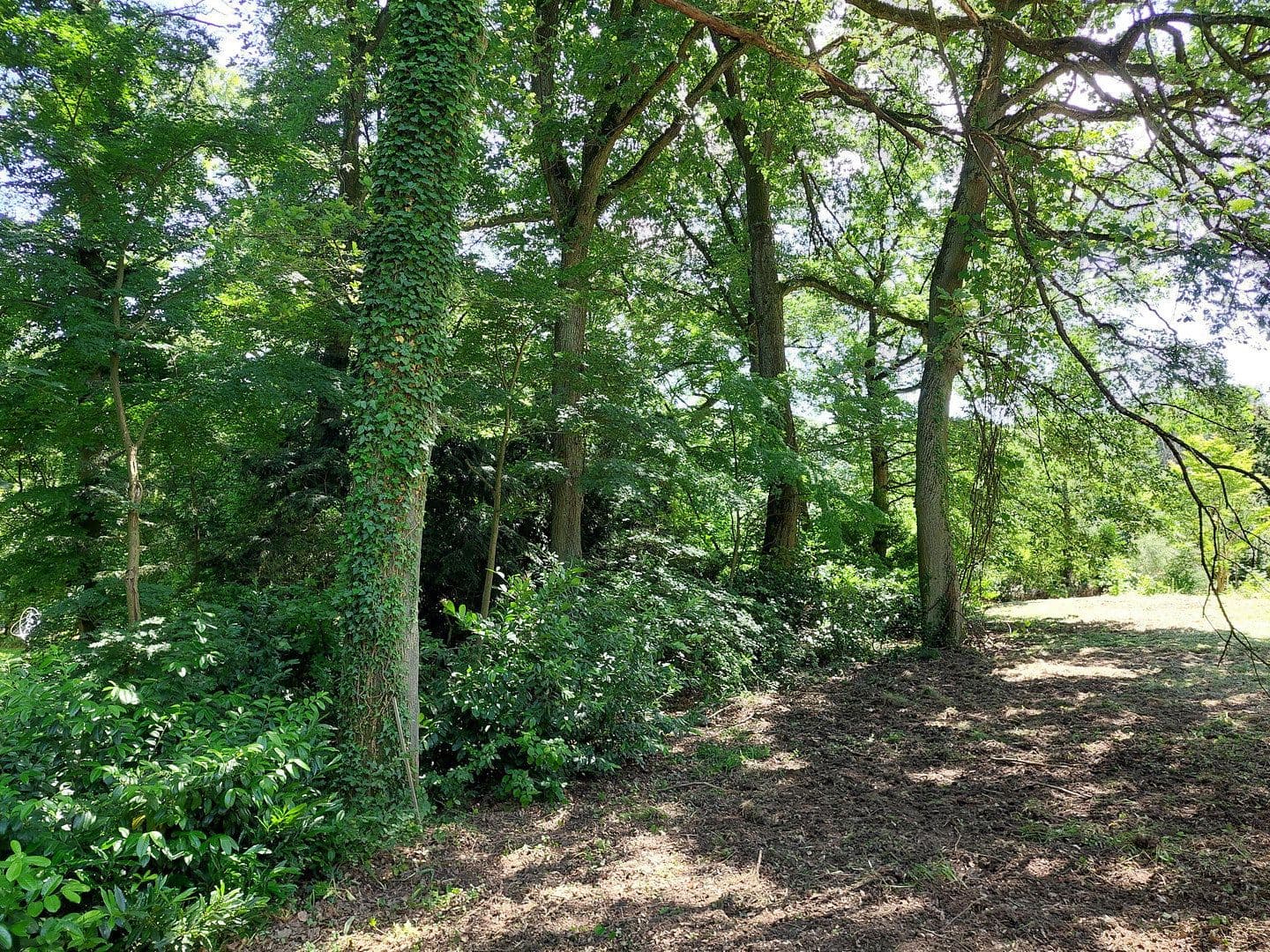 Prodej pozemku 1.890 m², Viehweideweg 18, Hofheim am Taunus, Hessen Prodej pozemku 1.890 m², Viehweideweg 18, Hofheim am Taunus, Hessen
