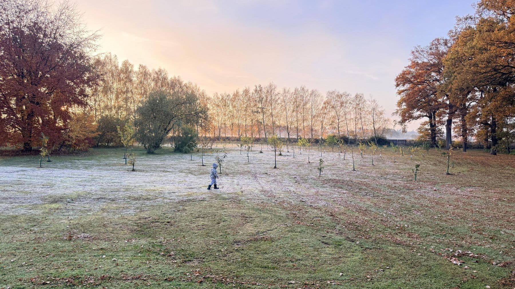 Prodej domu 877 m², pozemek 23.976 m², Balge, Dolní Sasko Prodej domu 877 m², pozemek 23.976 m², Balge, Dolní Sasko