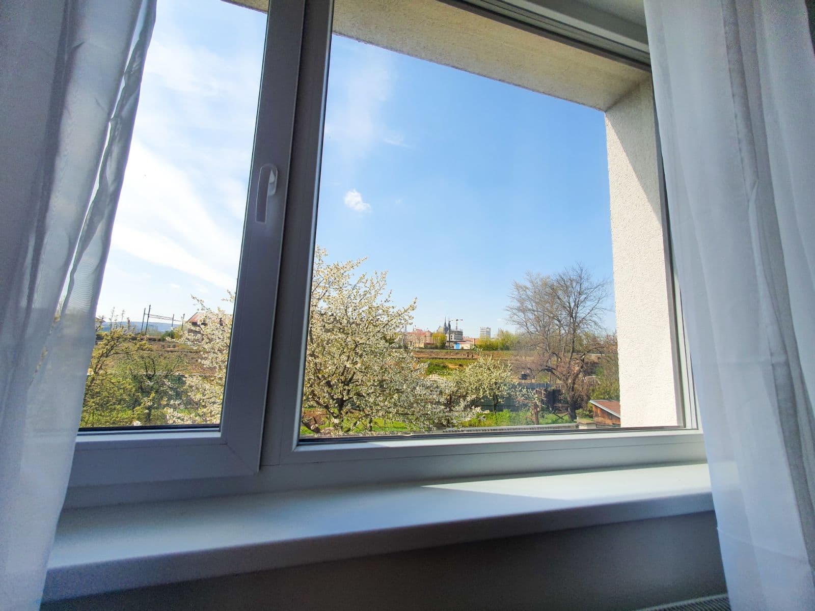 Pronájem bytu 1+kk 49 m², Plotní, Brno, Jihomoravský kraj Pronájem bytu 1+kk 49 m², Plotní, Brno, Jihomoravský kraj