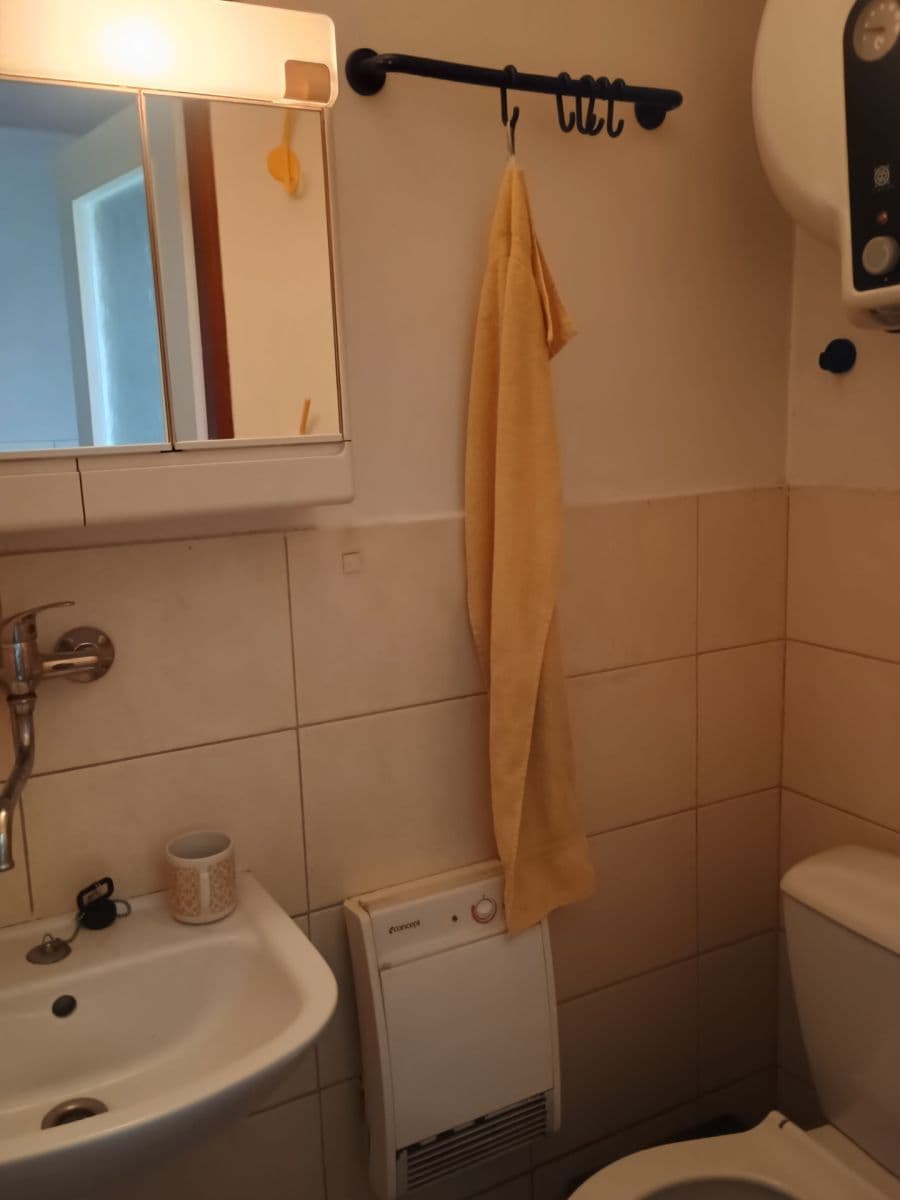 Prodej chaty, chalupy 60 m², pozemek 230 m², Jáchymov, Karlovarský kraj Prodej chaty, chalupy 60 m², pozemek 230 m², Jáchymov, Karlovarský kraj
