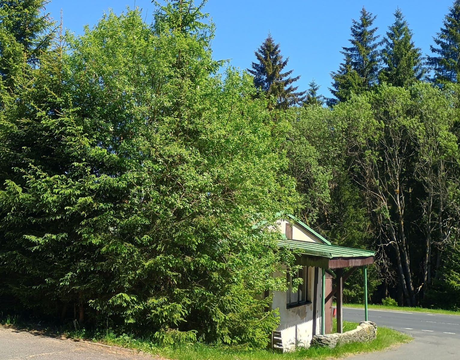 Prodej chaty, chalupy 60 m², pozemek 230 m², Jáchymov, Karlovarský kraj Prodej chaty, chalupy 60 m², pozemek 230 m², Jáchymov, Karlovarský kraj
