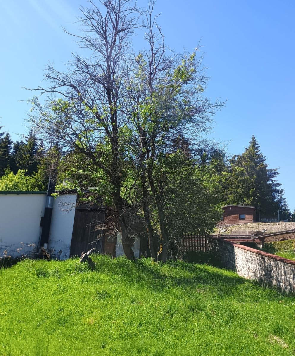 Prodej chaty, chalupy 60 m², pozemek 230 m², Jáchymov, Karlovarský kraj Prodej chaty, chalupy 60 m², pozemek 230 m², Jáchymov, Karlovarský kraj