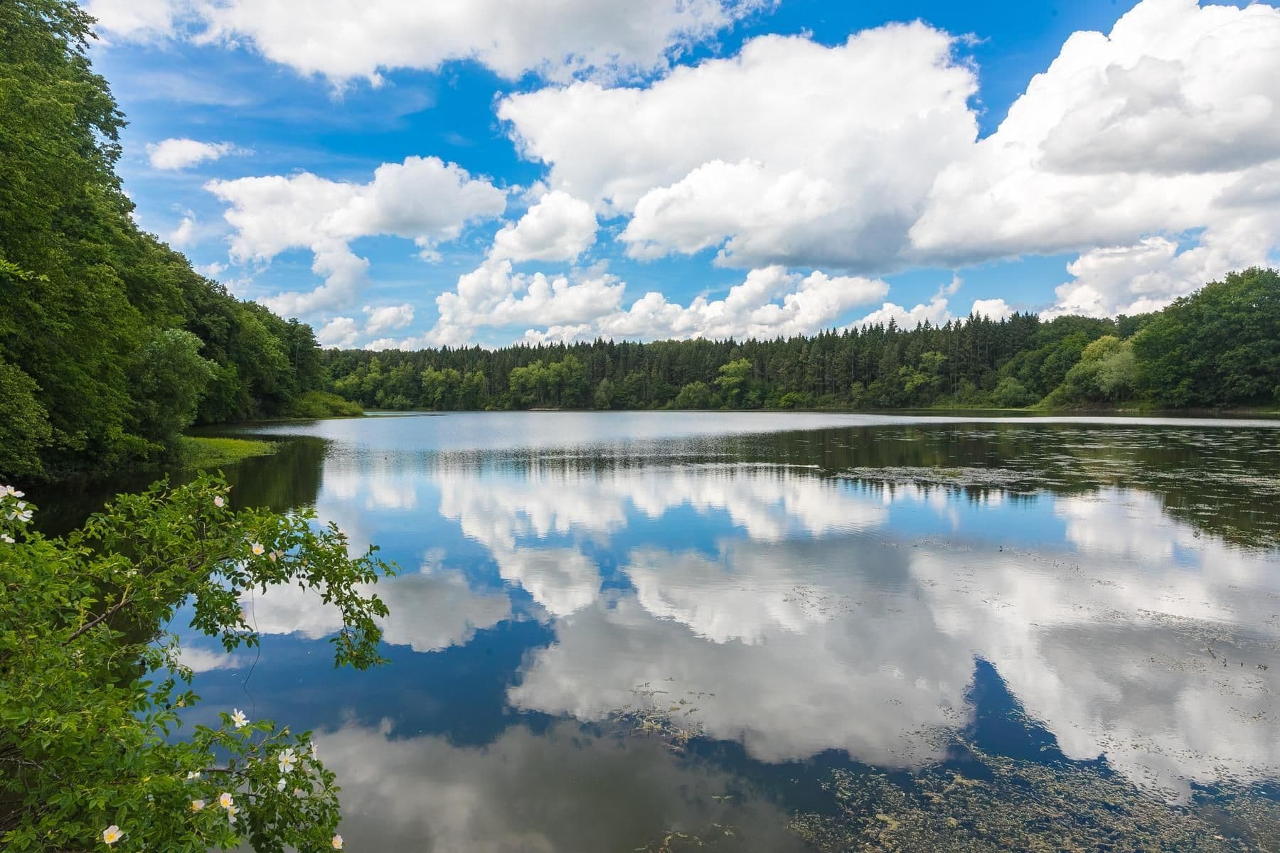 Prodej domu 150 m², pozemek 816 m², Malešov, Středočeský kraj Prodej domu 150 m², pozemek 816 m², Malešov, Středočeský kraj