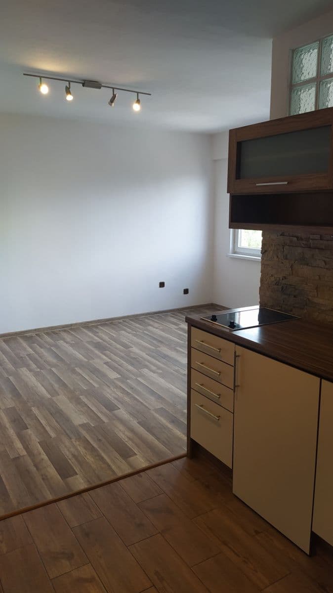 Prodej bytu 1+kk 28 m², Petra Křičky, Ostrava, Moravskoslezský kraj Prodej bytu 1+kk 28 m², Petra Křičky, Ostrava, Moravskoslezský kraj