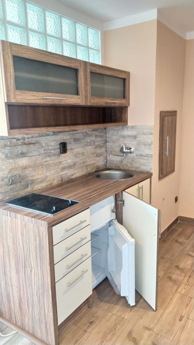 Prodej bytu 1+kk 28 m², Petra Křičky, Ostrava, Moravskoslezský kraj Prodej bytu 1+kk 28 m², Petra Křičky, Ostrava, Moravskoslezský kraj