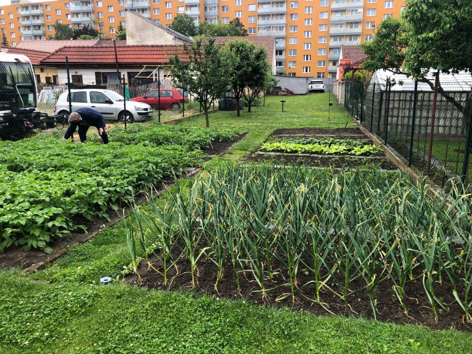 Pronájem pozemku 400 m², Dolní, Prostějov, Olomoucký kraj Pronájem pozemku 400 m², Dolní, Prostějov, Olomoucký kraj