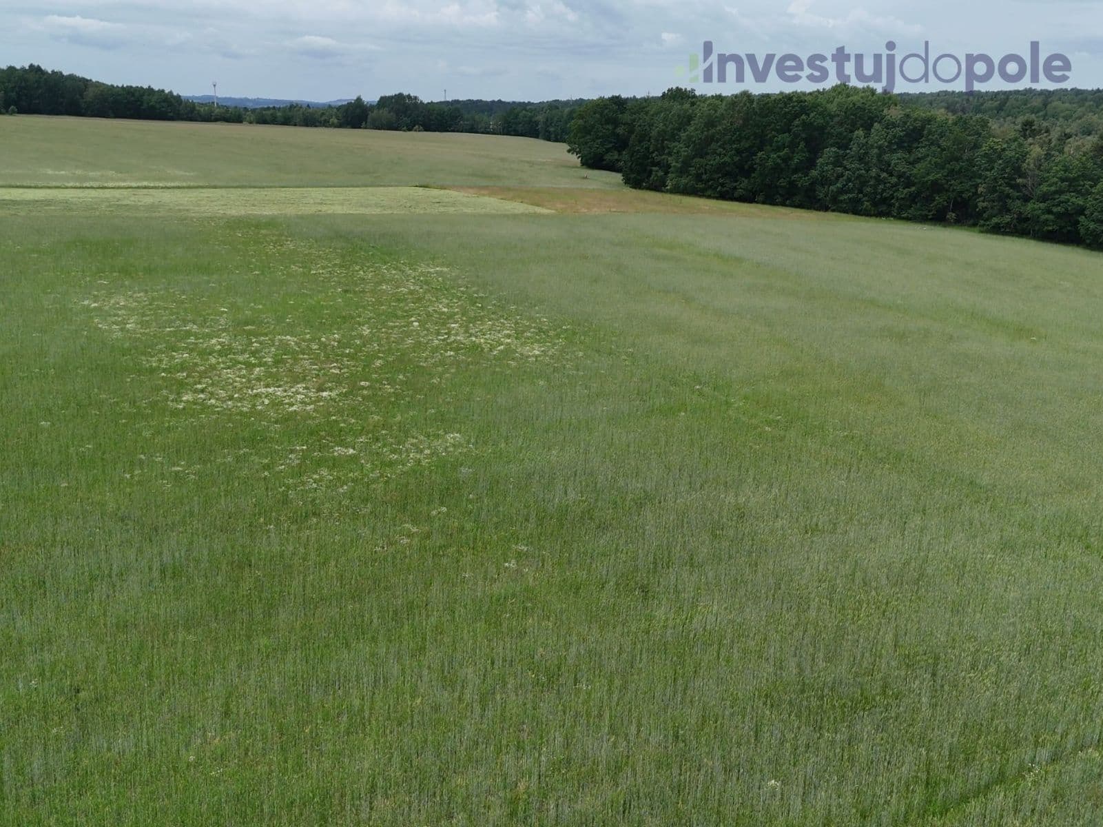 Prodej pozemku 18.851 m², Staré Sedlo, Karlovarský kraj Prodej pozemku 18.851 m², Staré Sedlo, Karlovarský kraj