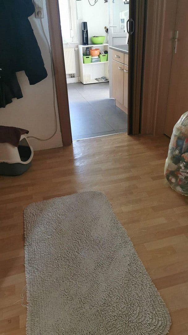 Pronájem bytu 4+1 92 m², Tösstrasse 2, Schramberg, Bádensko-Württembersko Pronájem bytu 4+1 92 m², Tösstrasse 2, Schramberg, Bádensko-Württembersko