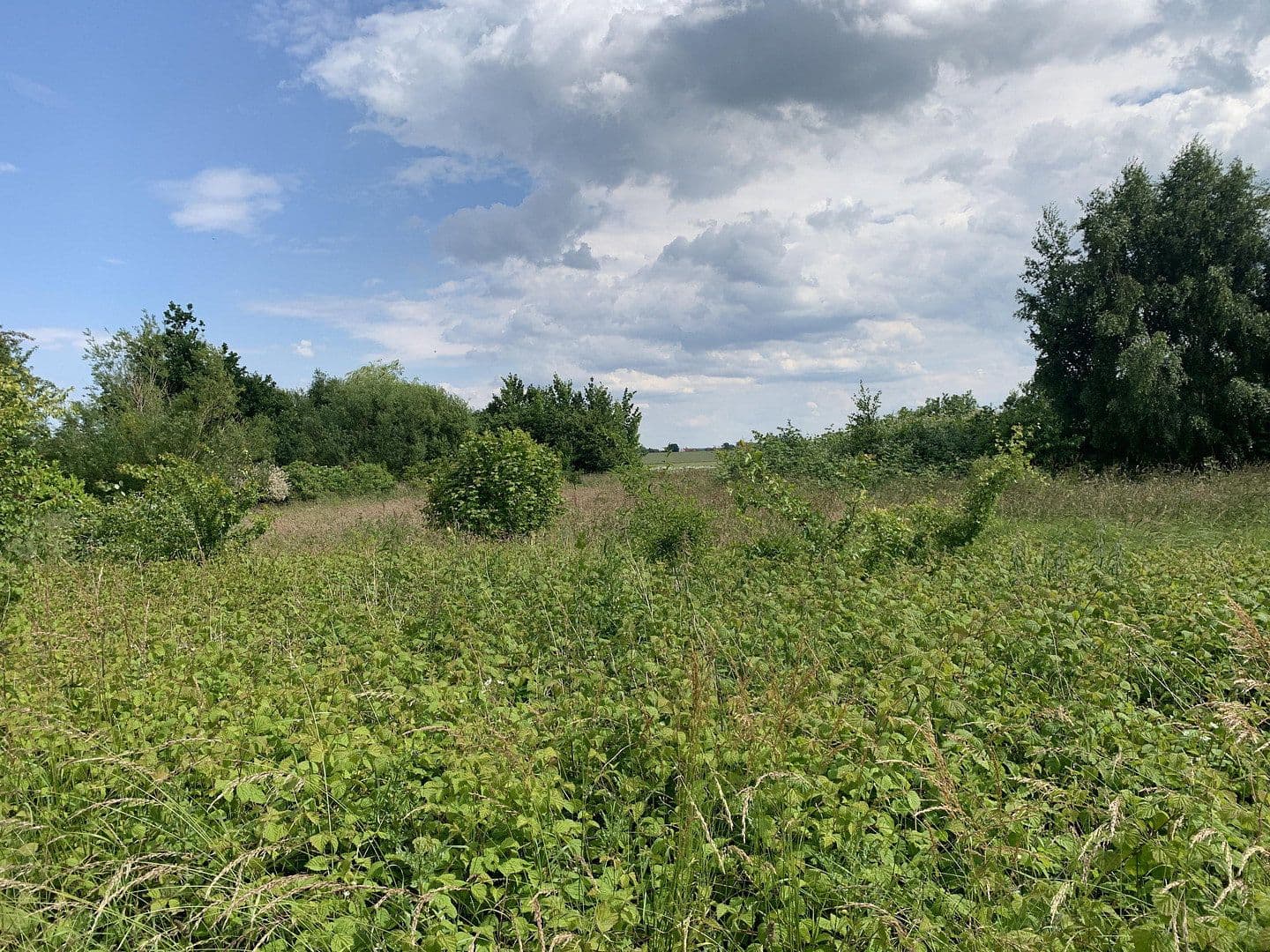 Prodej pozemku 1.879 m², Grabowerstraße, Altenpleen, Mecklenburg-Vorpommern Prodej pozemku 1.879 m², Grabowerstraße, Altenpleen, Mecklenburg-Vorpommern