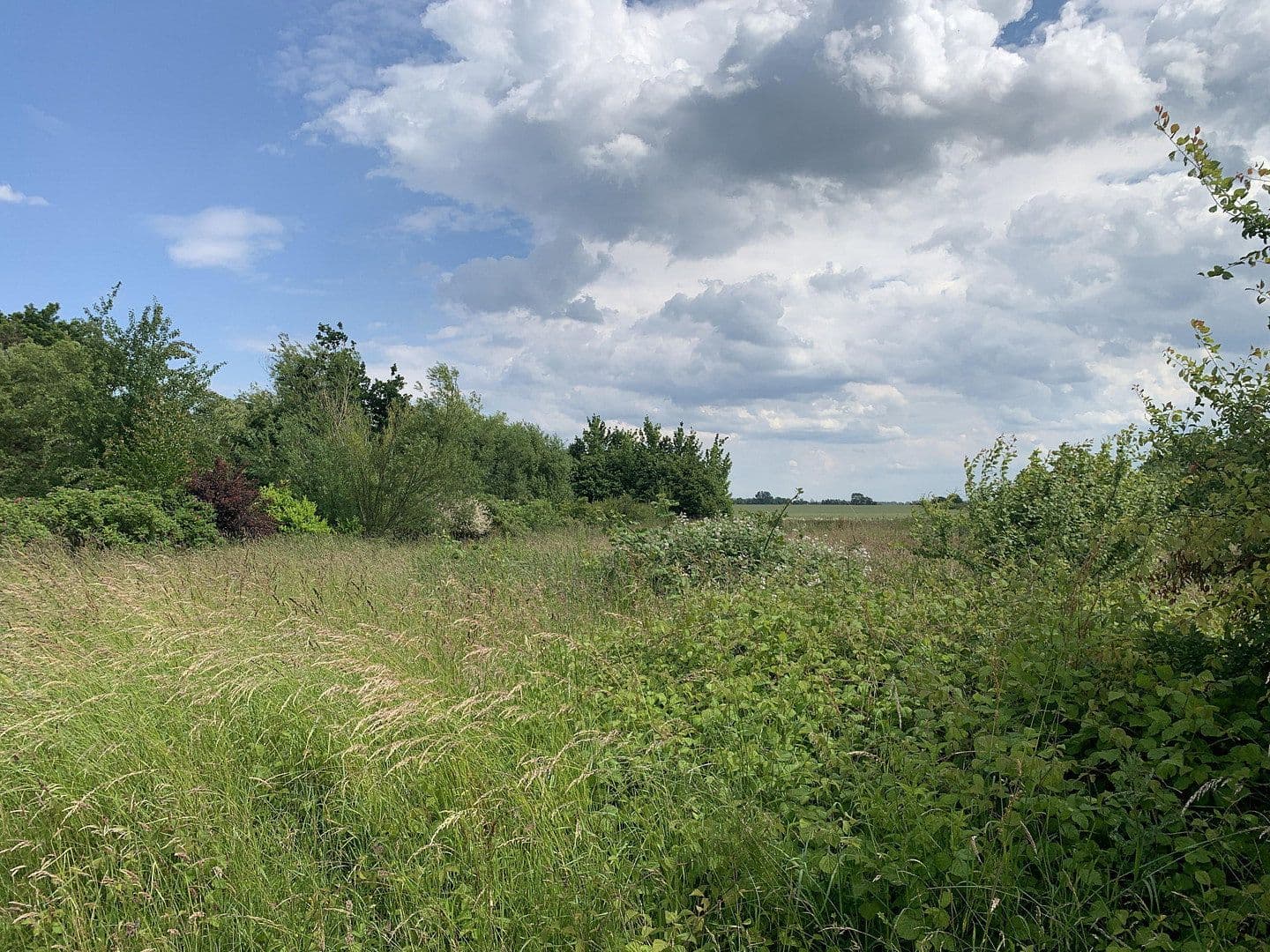 Prodej pozemku 1.879 m², Grabowerstraße, Altenpleen, Mecklenburg-Vorpommern Prodej pozemku 1.879 m², Grabowerstraße, Altenpleen, Mecklenburg-Vorpommern