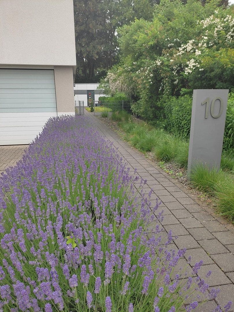 Prodej bytu 3+1 80 m², Berliner Straße 10, Kleve, Severní Porýní-Vestfálsko Prodej bytu 3+1 80 m², Berliner Straße 10, Kleve, Severní Porýní-Vestfálsko