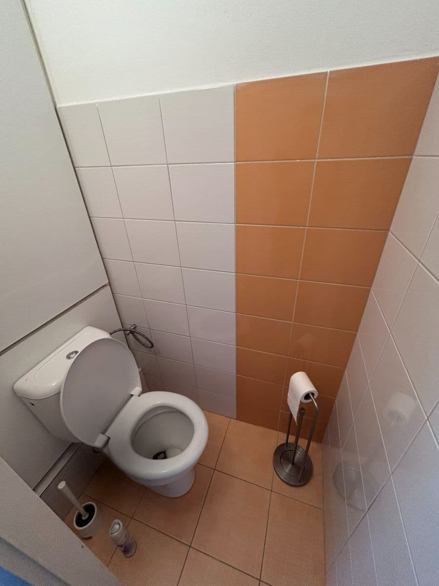 Pronájem bytu 2+1 59 m², Boskovická, Brno, Jihomoravský kraj Pronájem bytu 2+1 59 m², Boskovická, Brno, Jihomoravský kraj