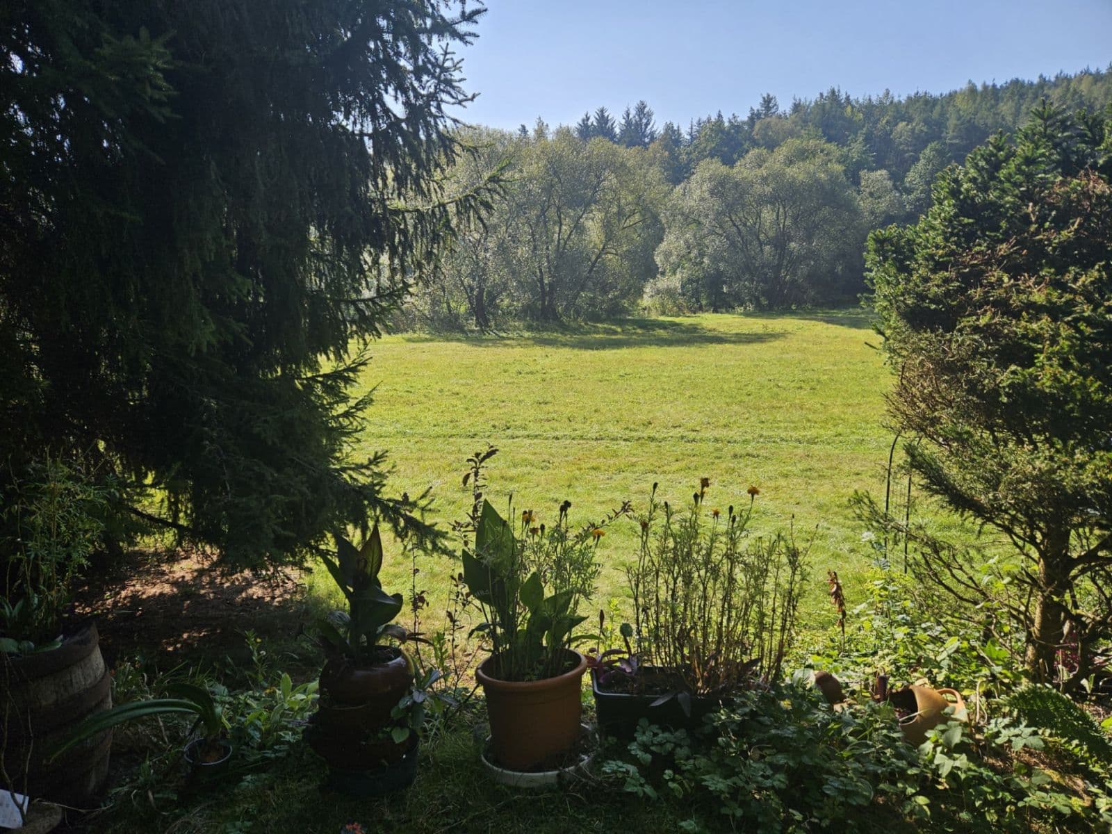Prodej chaty, chalupy 91 m², pozemek 237 m², Mladotice, Plzeňský kraj Prodej chaty, chalupy 91 m², pozemek 237 m², Mladotice, Plzeňský kraj