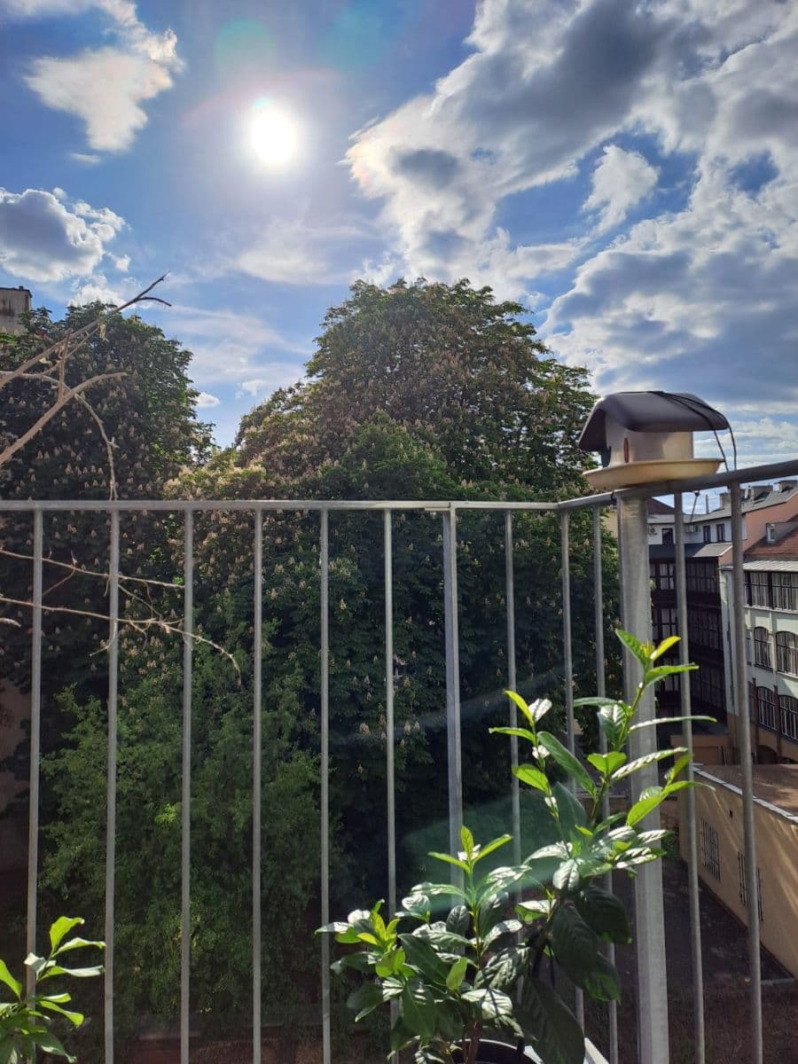 Pronájem bytu 2+kk 51 m², Dalimilova, Praha, Praha Pronájem bytu 2+kk 51 m², Dalimilova, Praha, Praha