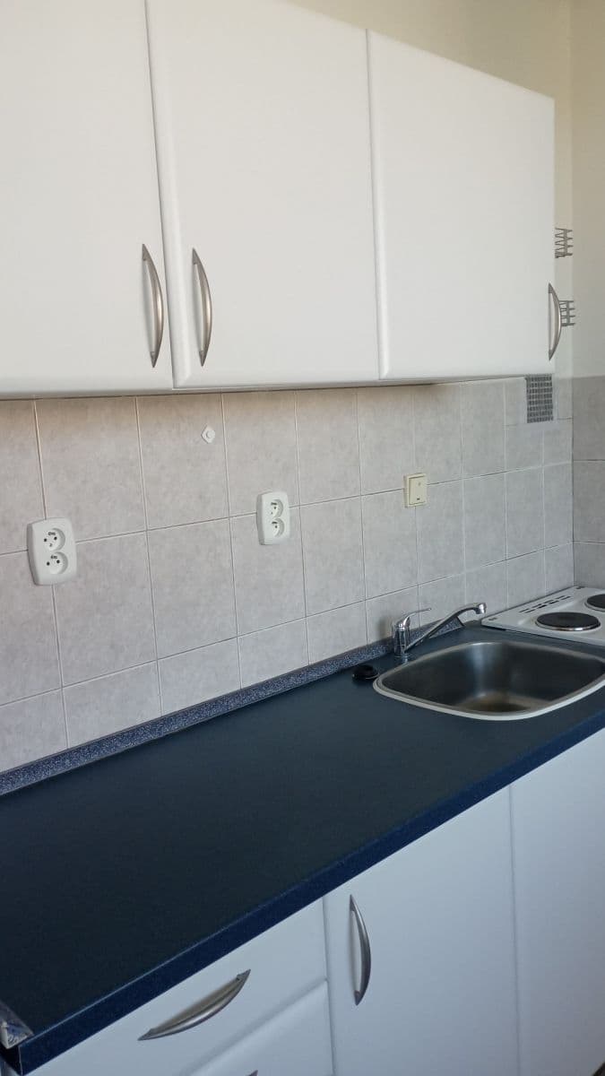 Pronájem bytu 1+kk 40 m², Holíkova, Jílové u Prahy, Středočeský kraj Pronájem bytu 1+kk 40 m², Holíkova, Jílové u Prahy, Středočeský kraj