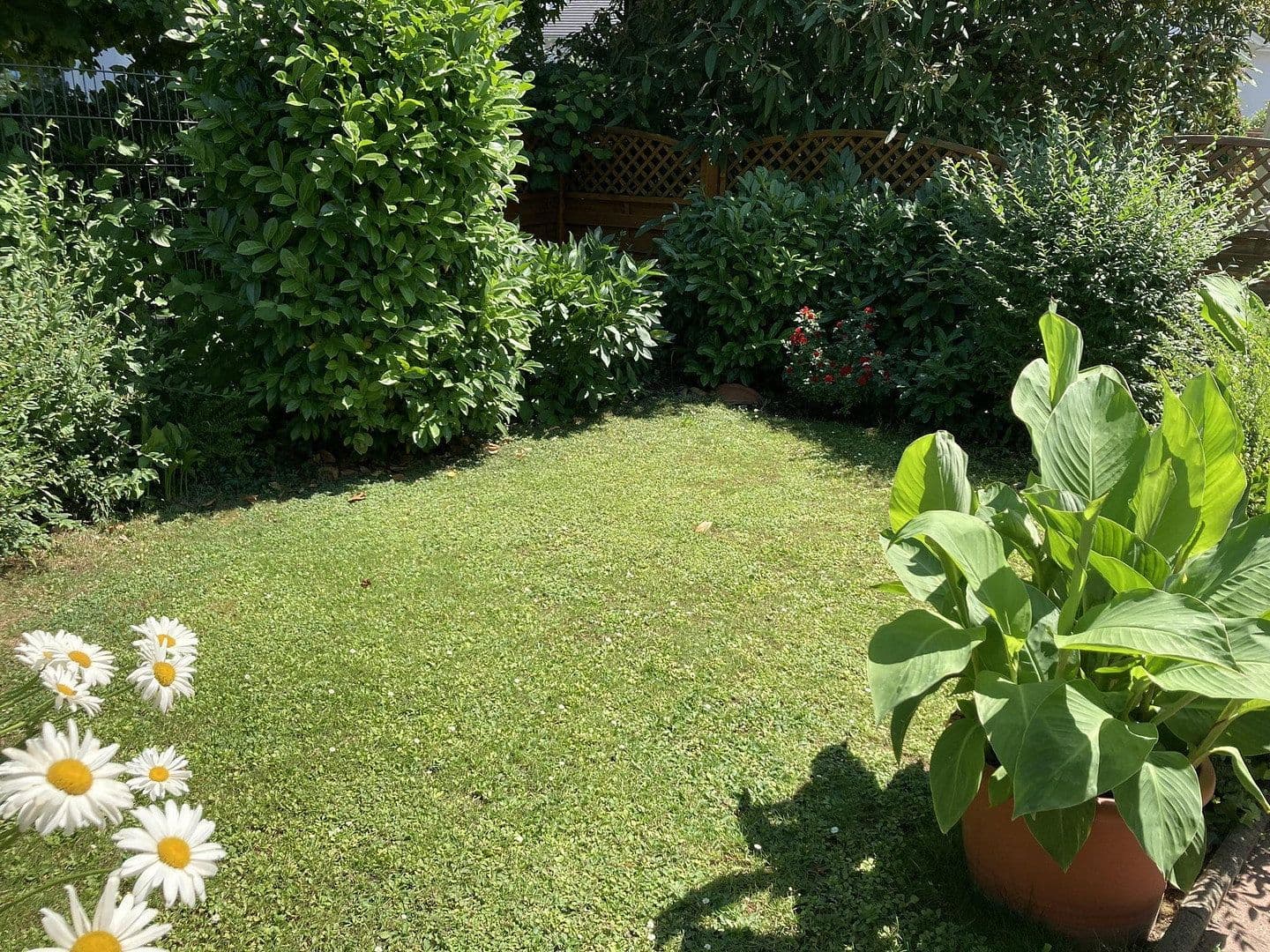 Prodej domu 298 m², pozemek 664 m², Büttelborn, Hessen Prodej domu 298 m², pozemek 664 m², Büttelborn, Hessen