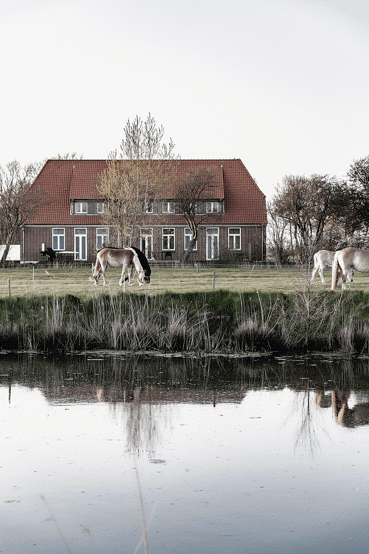 Prodej bytu 3+1 62 m², Vollerwiek, Šlesvicko-Holštýnsko Prodej bytu 3+1 62 m², Vollerwiek, Šlesvicko-Holštýnsko