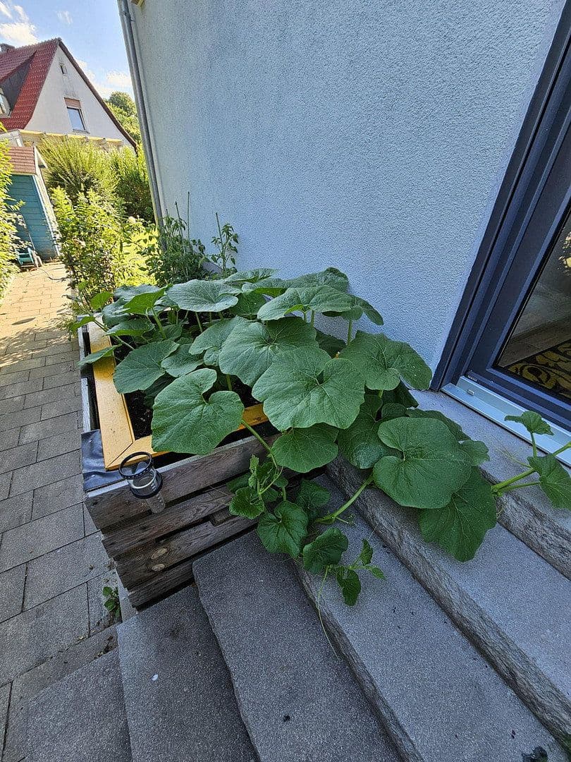 Prodej bytu 7+1 210 m², Burgthann, Bavorsko Prodej bytu 7+1 210 m², Burgthann, Bavorsko