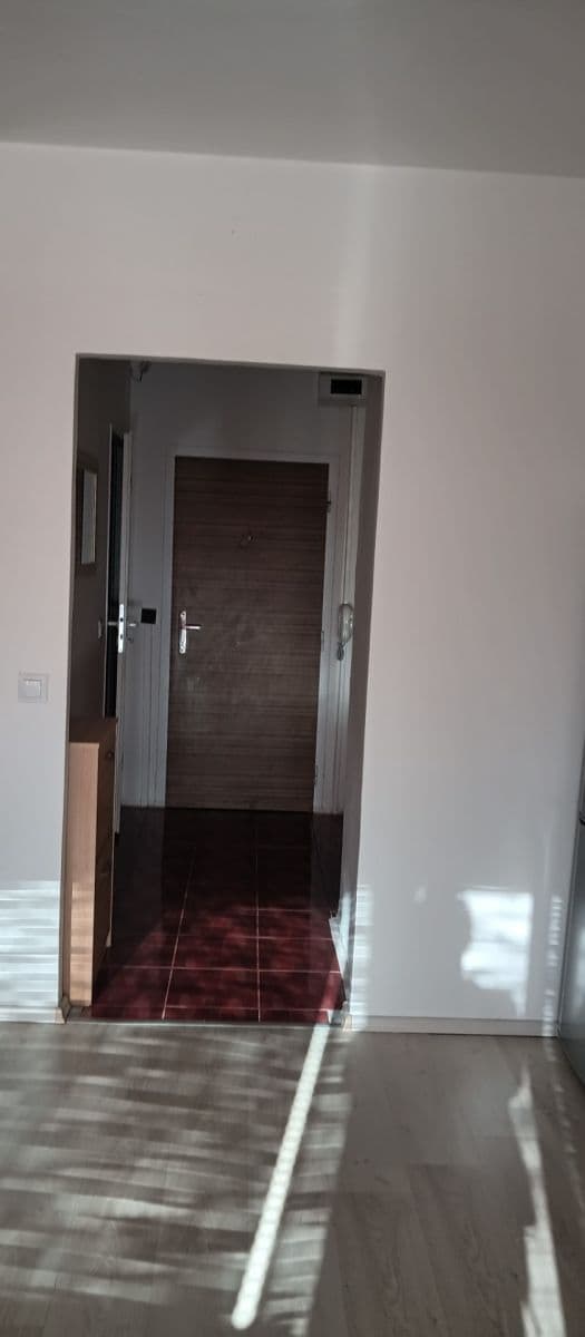 Pronájem bytu 1+kk 28 m², Vltavská, Brno, Jihomoravský kraj Pronájem bytu 1+kk 28 m², Vltavská, Brno, Jihomoravský kraj