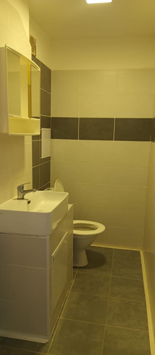 Pronájem bytu 1+kk 28 m², Vltavská, Brno, Jihomoravský kraj Pronájem bytu 1+kk 28 m², Vltavská, Brno, Jihomoravský kraj