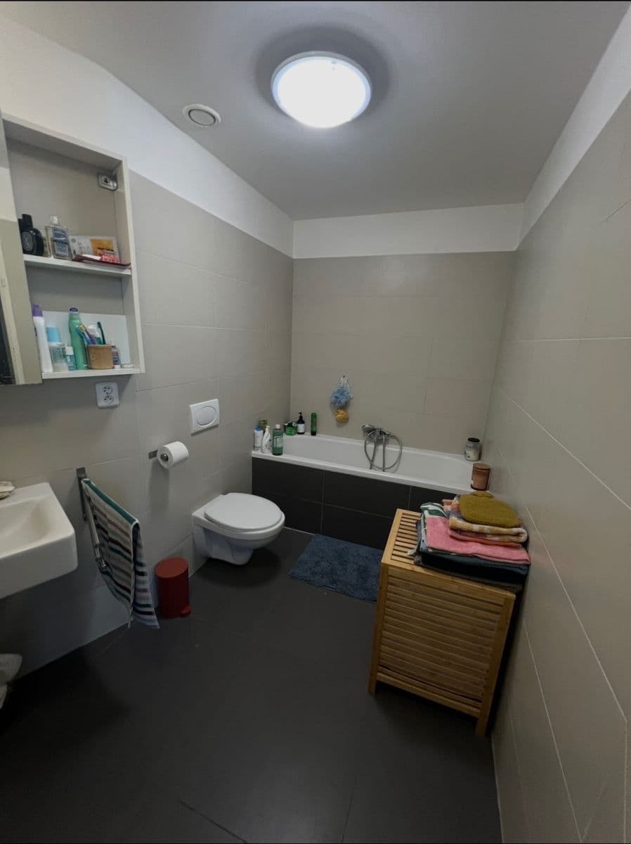 Pronájem bytu 2+1 62 m², Braunerova, Praha, Praha Pronájem bytu 2+1 62 m², Braunerova, Praha, Praha