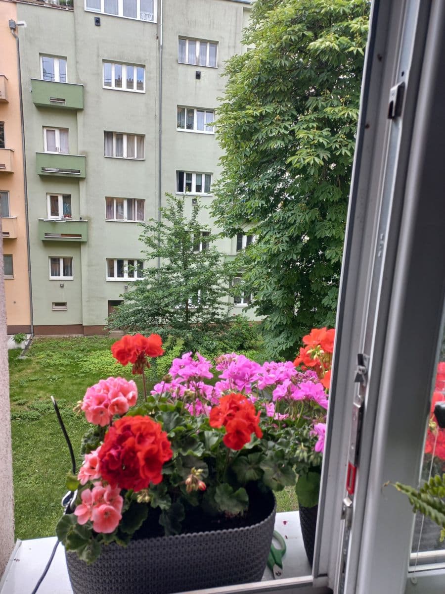 Prodej bytu 2+kk 46 m², Hartigova, Praha, Praha Prodej bytu 2+kk 46 m², Hartigova, Praha, Praha