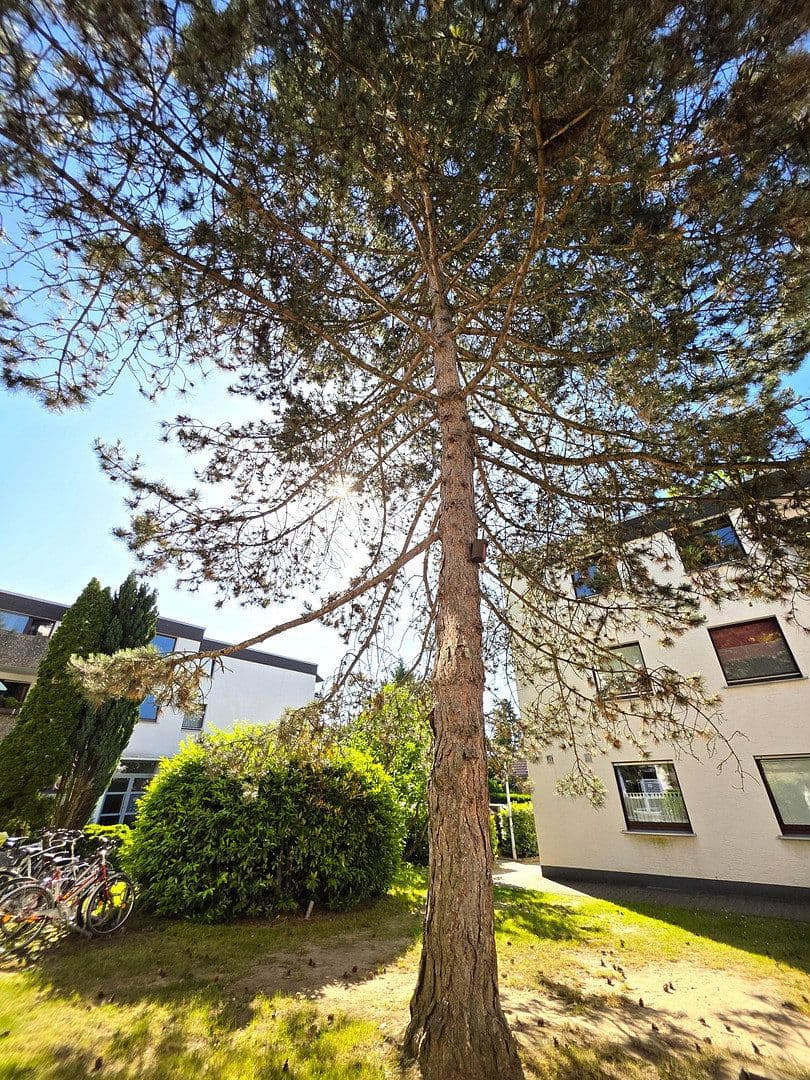 Prodej bytu 2+1 60 m², Bergisch Gladbach, Severní Porýní-Vestfálsko Prodej bytu 2+1 60 m², Bergisch Gladbach, Severní Porýní-Vestfálsko