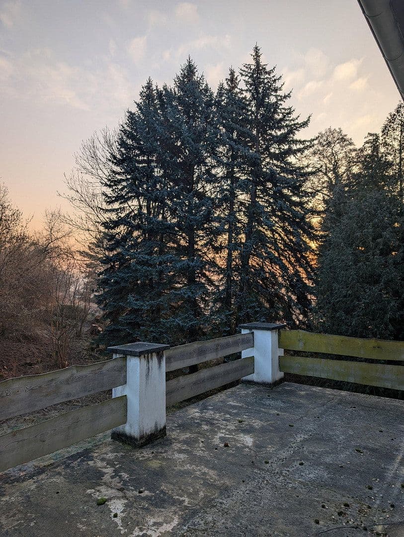 Prodej domu 450 m², pozemek 23.000 m², Boselweg 42, Coswig, Sasko Prodej domu 450 m², pozemek 23.000 m², Boselweg 42, Coswig, Sasko