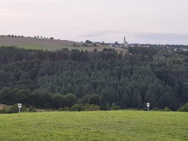 Prodej domu 146 m², pozemek 2.000 m², Rascheid, Porýní-Falc Prodej domu 146 m², pozemek 2.000 m², Rascheid, Porýní-Falc