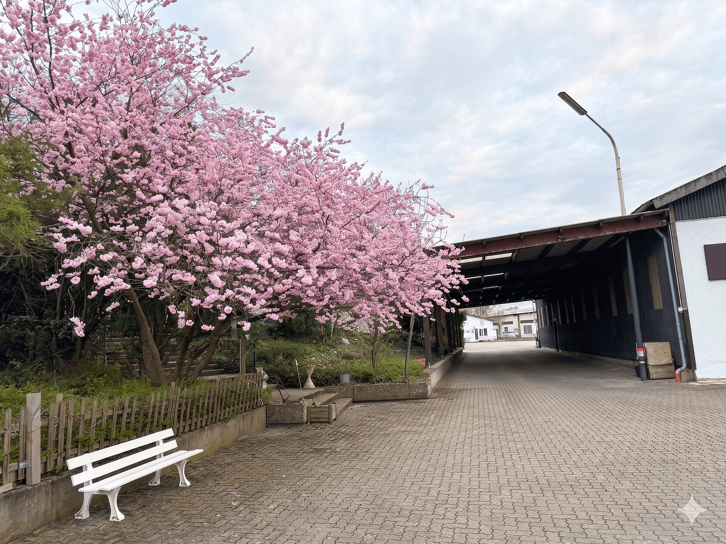 Prodej nebytového prostoru 3.682 m², Hagenbach, Porýní-Falc Prodej nebytového prostoru 3.682 m², Hagenbach, Porýní-Falc