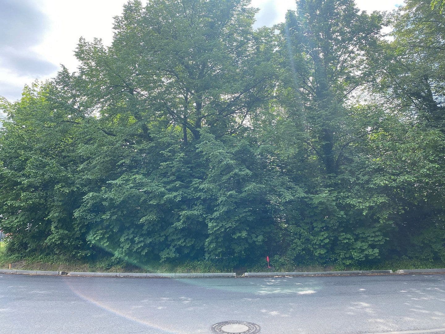 Prodej pozemku 1.255 m², Max-Eyth-Allee 8, Potsdam, Braniborsko Prodej pozemku 1.255 m², Max-Eyth-Allee 8, Potsdam, Braniborsko
