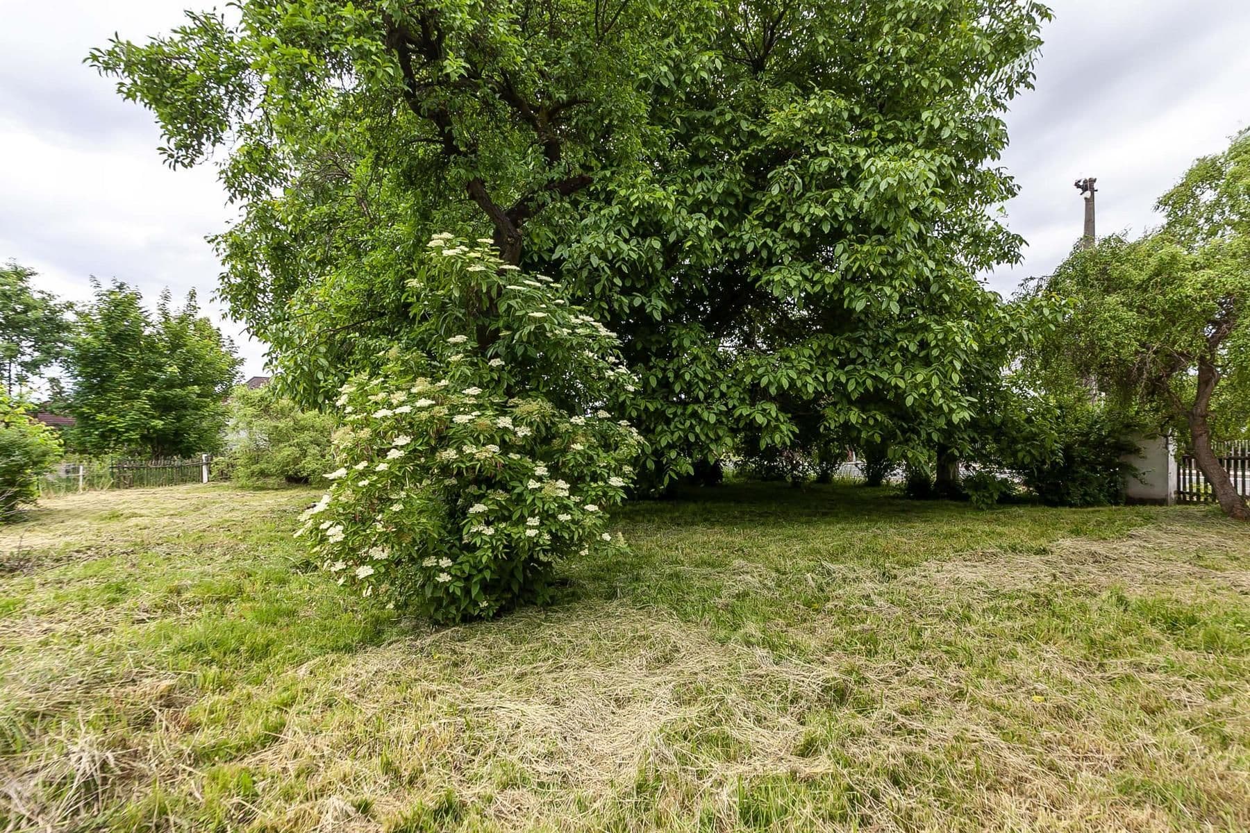 Prodej domu 189 m², pozemek 1.847 m², Jiříkovská, Rumburk, Ústecký kraj Prodej domu 189 m², pozemek 1.847 m², Jiříkovská, Rumburk, Ústecký kraj