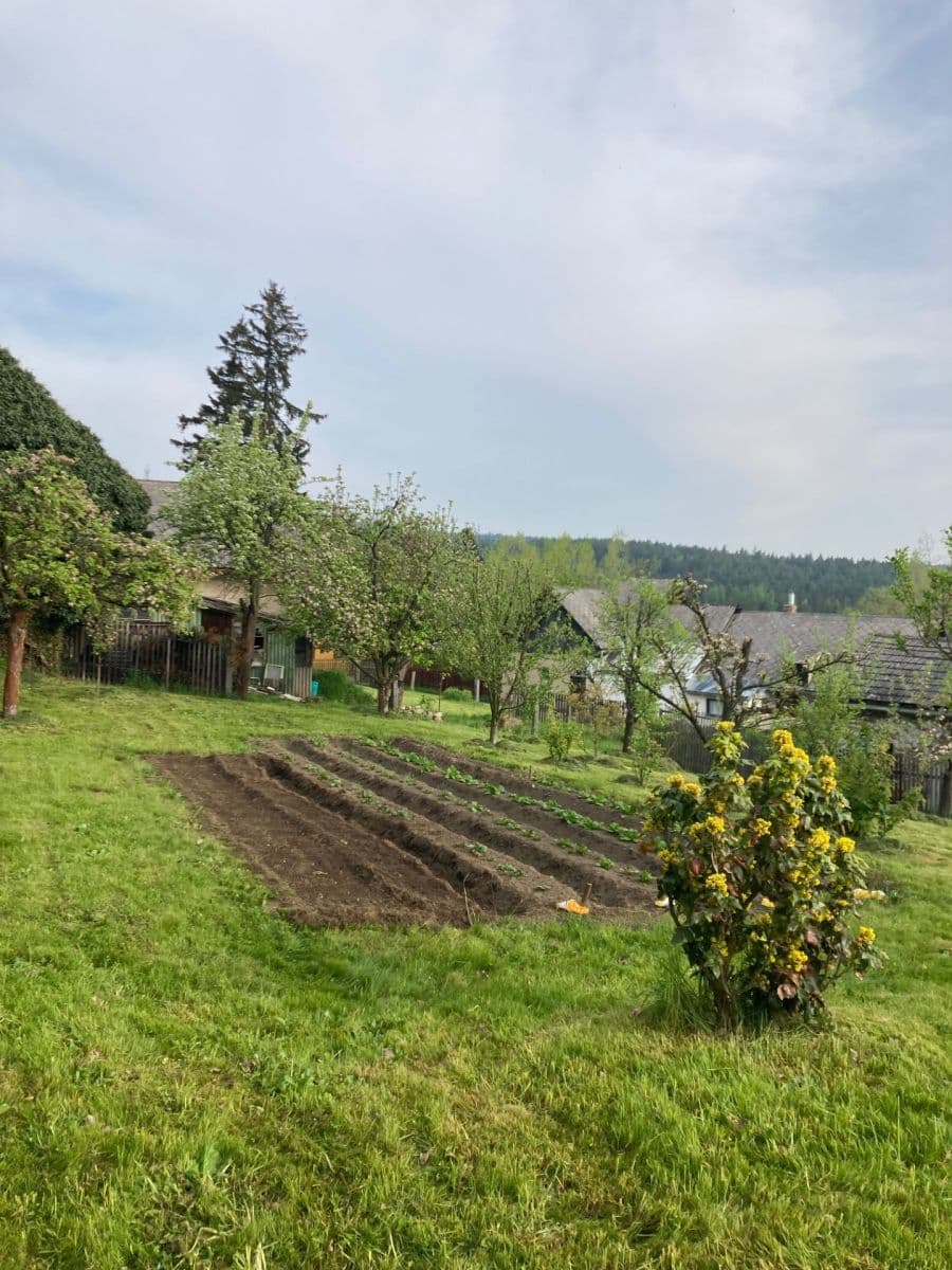 Prodej domu 130 m², pozemek 1.200 m², Vrbice, Jihočeský kraj Prodej domu 130 m², pozemek 1.200 m², Vrbice, Jihočeský kraj