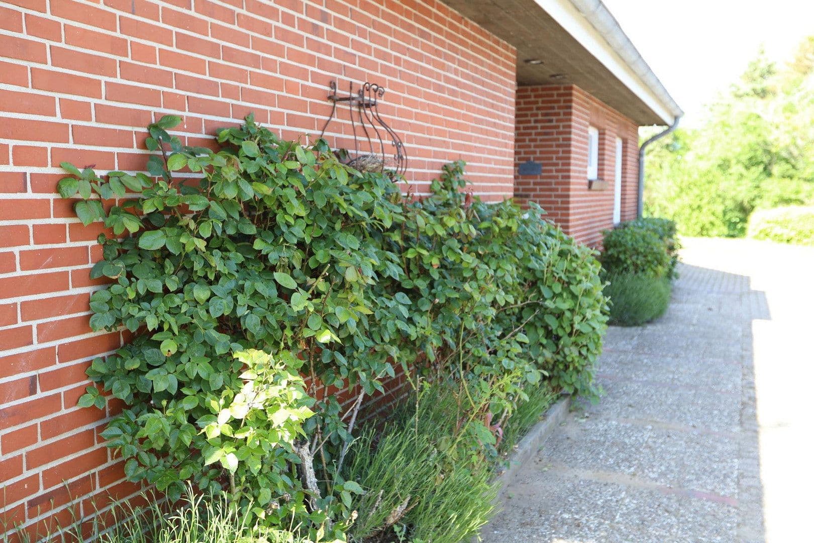 Prodej domu 180 m², pozemek 1.502 m², Aventoft, Šlesvicko-Holštýnsko Prodej domu 180 m², pozemek 1.502 m², Aventoft, Šlesvicko-Holštýnsko