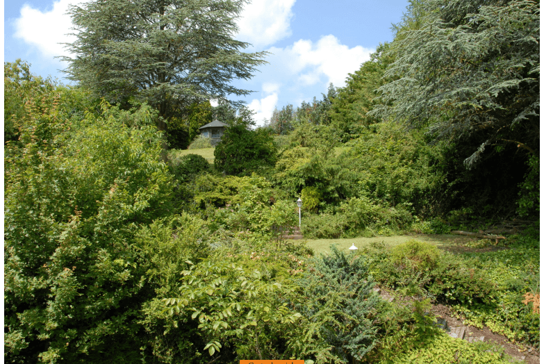Prodej domu 266 m², pozemek 1.300 m², Schlehenweg 37, Heidenrod, Hessen Prodej domu 266 m², pozemek 1.300 m², Schlehenweg 37, Heidenrod, Hessen
