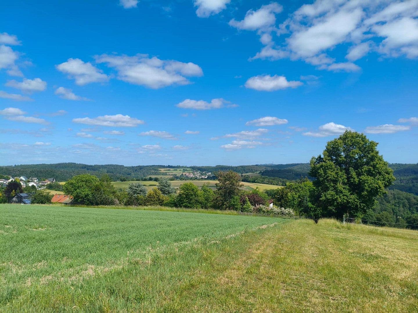 Prodej domu 266 m², pozemek 1.300 m², Schlehenweg 37, Heidenrod, Hessen Prodej domu 266 m², pozemek 1.300 m², Schlehenweg 37, Heidenrod, Hessen