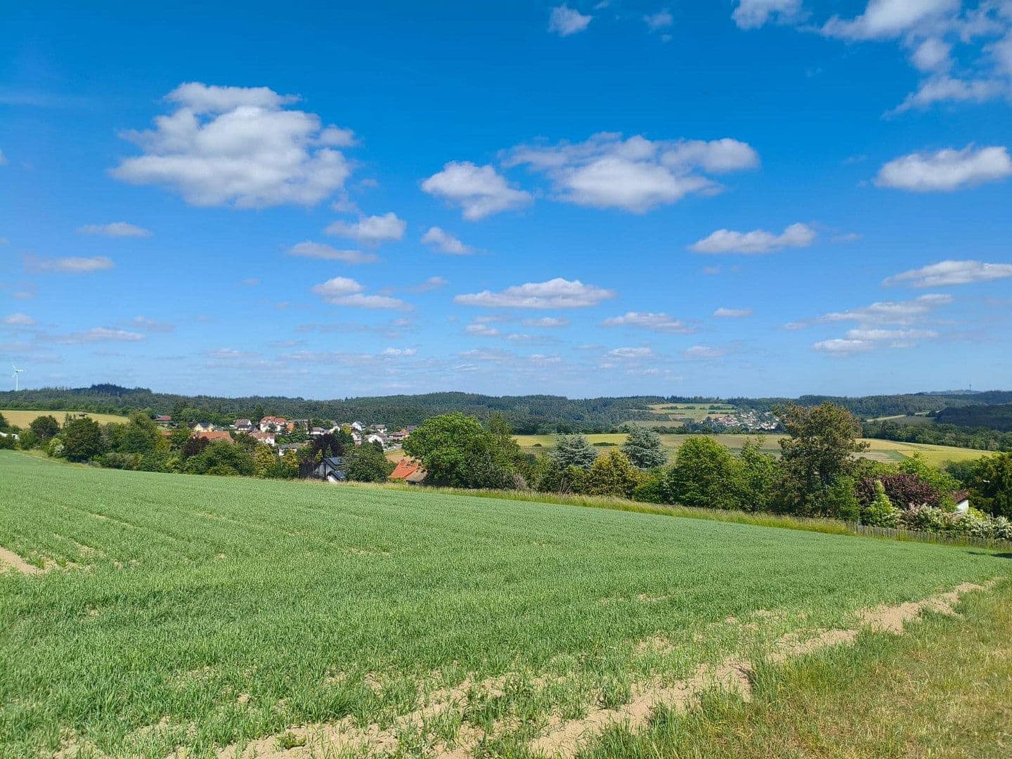 Prodej domu 266 m², pozemek 1.300 m², Schlehenweg 37, Heidenrod, Hessen Prodej domu 266 m², pozemek 1.300 m², Schlehenweg 37, Heidenrod, Hessen
