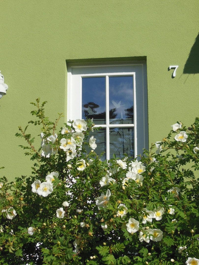 Prodej domu 107 m², pozemek 503 m², Am Dünenwald Am Dünenwald 7, Glowe, Mecklenburg-Vorpommern Prodej domu 107 m², pozemek 503 m², Am Dünenwald Am Dünenwald 7, Glowe, Mecklenburg-Vorpommern