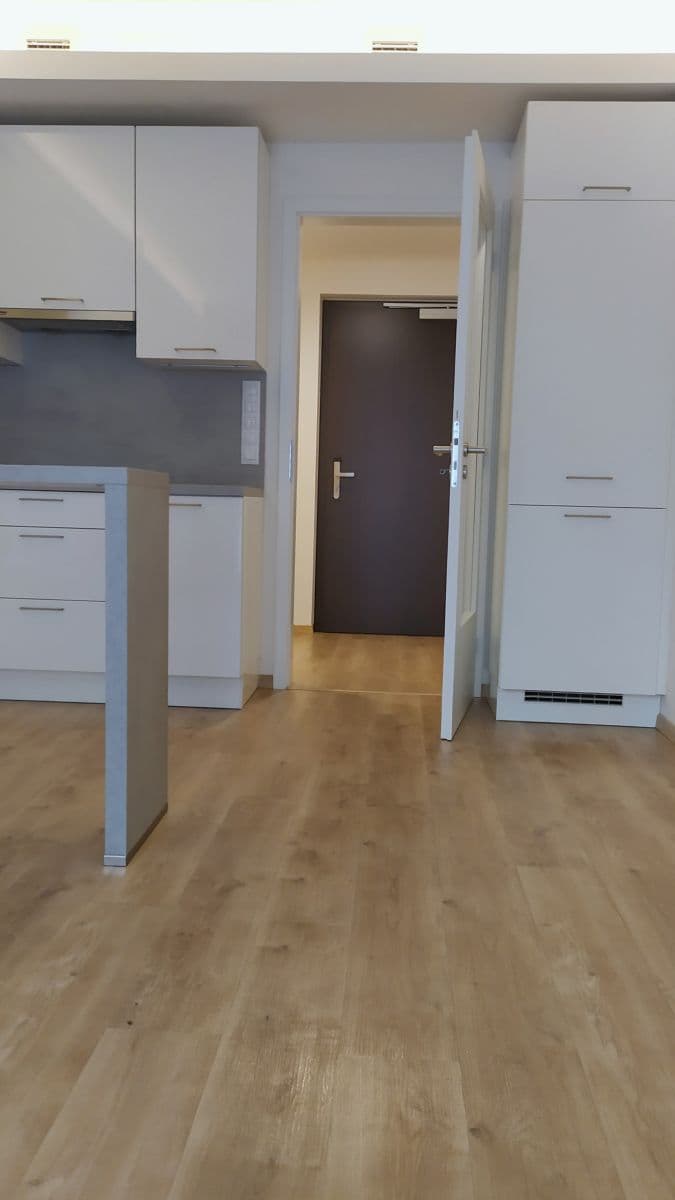 Pronájem bytu 1+kk 31 m², Mukařovského, Praha, Praha Pronájem bytu 1+kk 31 m², Mukařovského, Praha, Praha