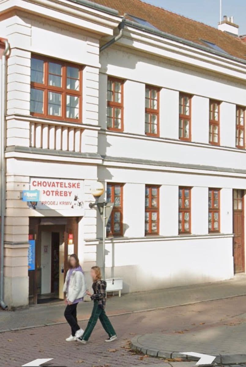 Prodej nebytového prostoru 91 m², Nádražní, Židlochovice, Jihomoravský kraj Prodej nebytového prostoru 91 m², Nádražní, Židlochovice, Jihomoravský kraj