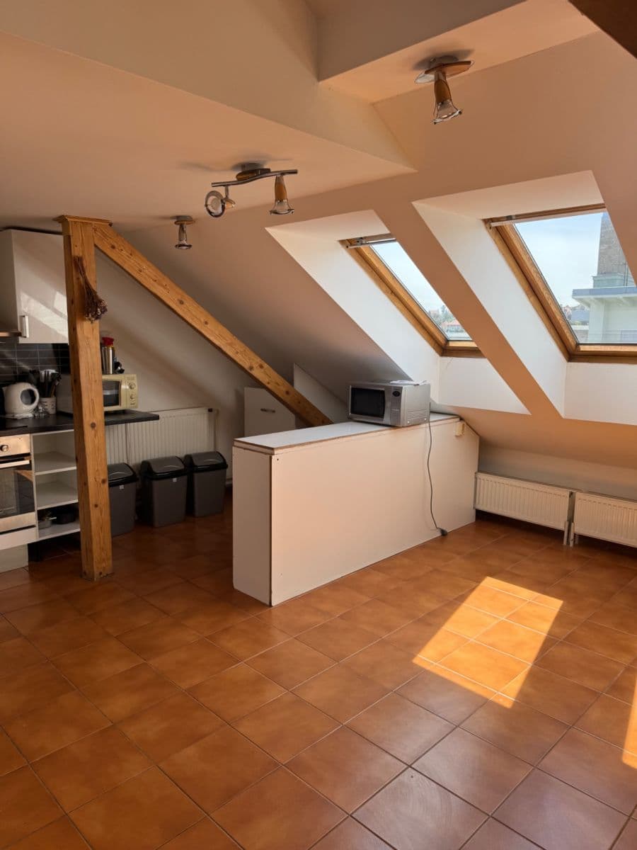 Pronájem bytu 3+kk 127 m², Čápkova, Brno, Jihomoravský kraj Pronájem bytu 3+kk 127 m², Čápkova, Brno, Jihomoravský kraj