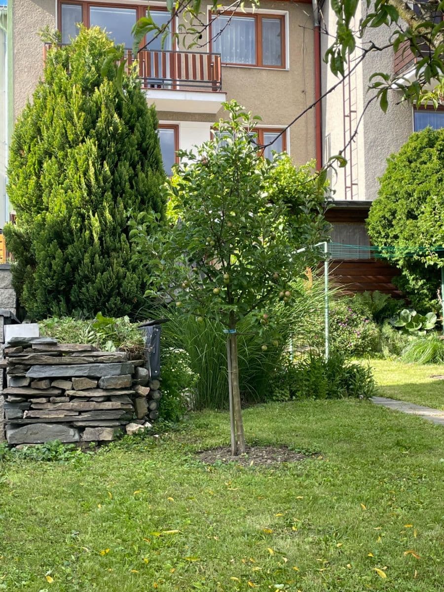Prodej domu 137 m², pozemek 391 m², Kopaniny, Velká Bystřice, Olomoucký kraj Prodej domu 137 m², pozemek 391 m², Kopaniny, Velká Bystřice, Olomoucký kraj