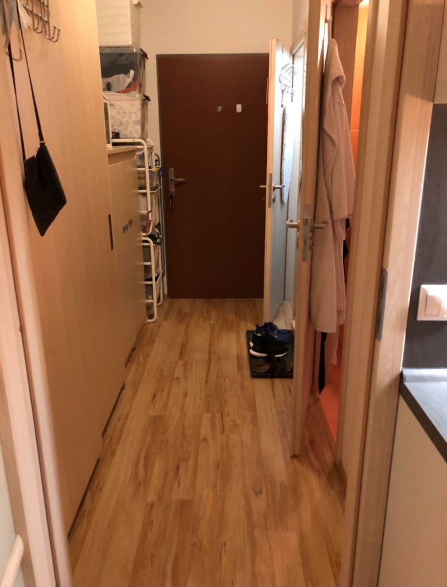 Pronájem bytu 1+kk 37 m², Freyova, Praha, Praha Pronájem bytu 1+kk 37 m², Freyova, Praha, Praha