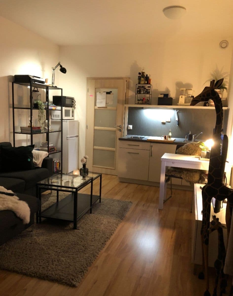 Pronájem bytu 1+kk 37 m², Freyova, Praha, Praha Pronájem bytu 1+kk 37 m², Freyova, Praha, Praha
