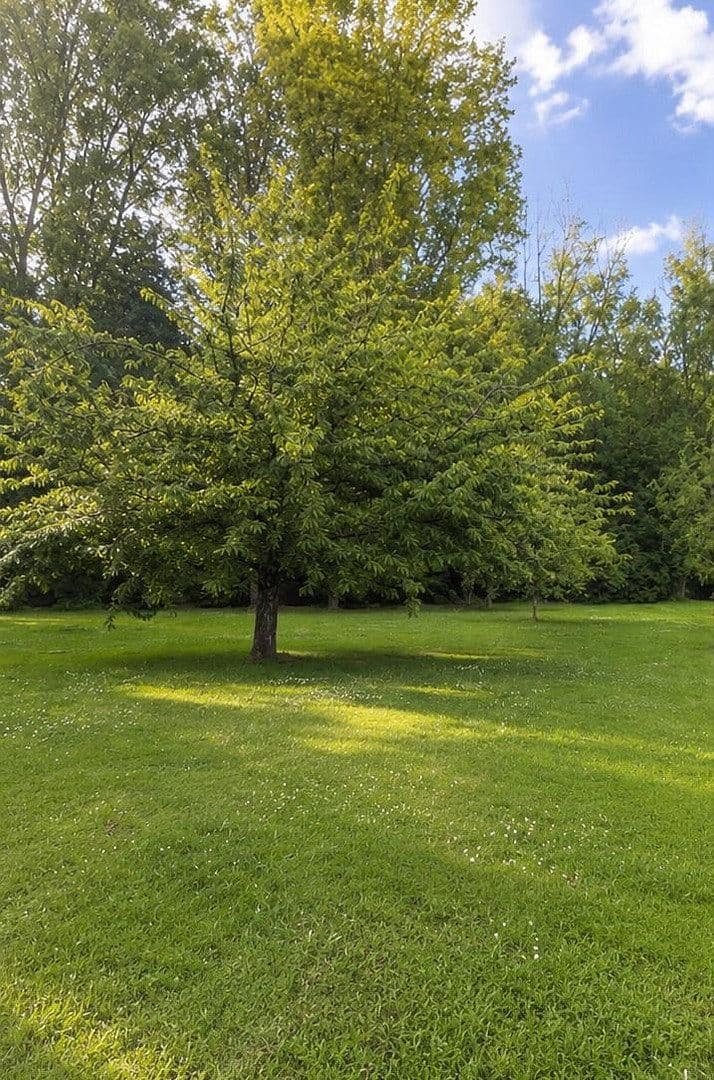 Prodej bytu 3+1 55 m², Oberhausen, Severní Porýní-Vestfálsko Prodej bytu 3+1 55 m², Oberhausen, Severní Porýní-Vestfálsko